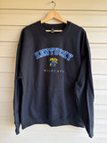 Wildcats sweatshirt
